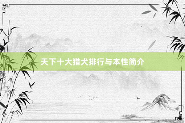 天下十大猎犬排行与本性简介