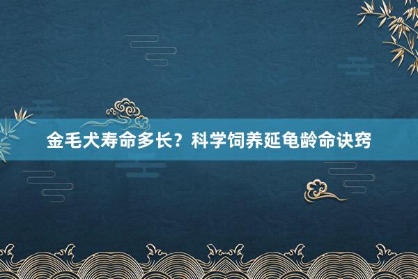 金毛犬寿命多长？科学饲养延龟龄命诀窍